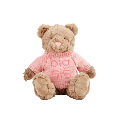 Big Brother and Sister Bears