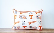 TN Collegiate Cluster Pillow- 2 Sided