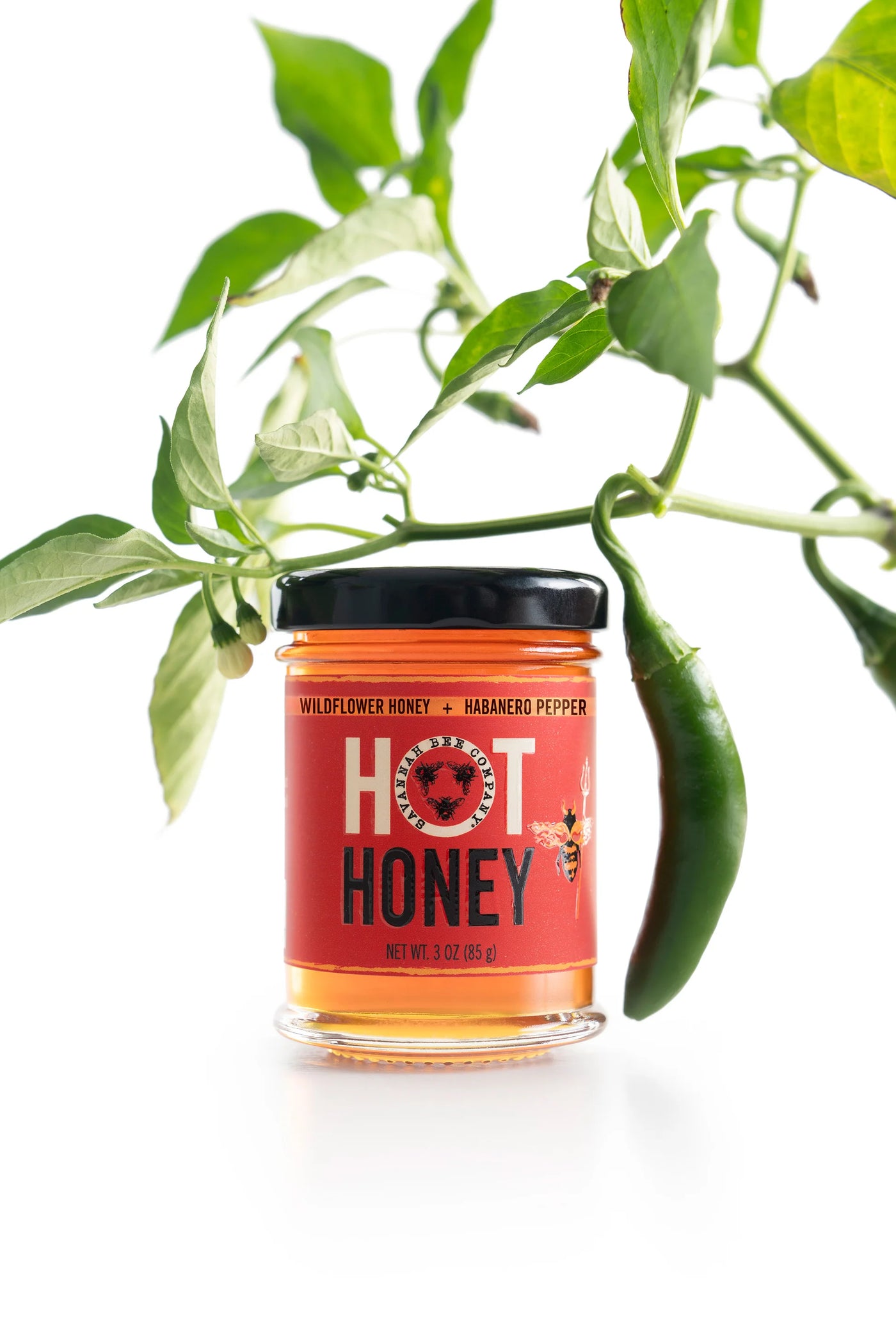 Hot Honey 3oz Glass Jar