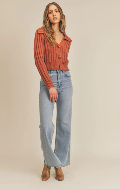Toasty Collared Sweater Cardigan