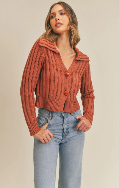 Toasty Collared Sweater Cardigan