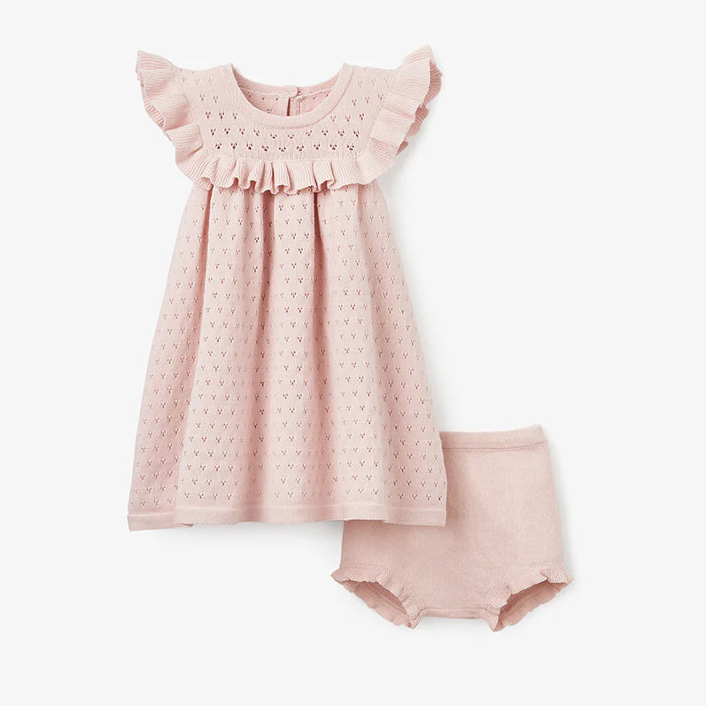 Blush Pointelle Flutter Sleeve Knit Dress