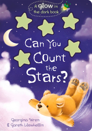 Can You Count the Stars? Book