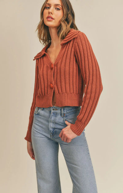 Toasty Collared Sweater Cardigan