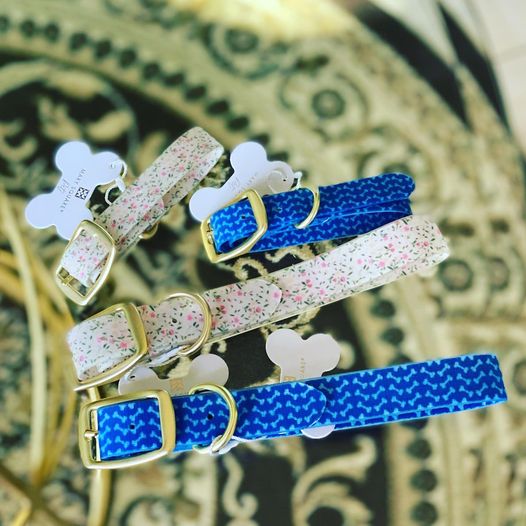 Petal Party Dog Collar