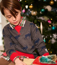 Roaming Elk Pullover